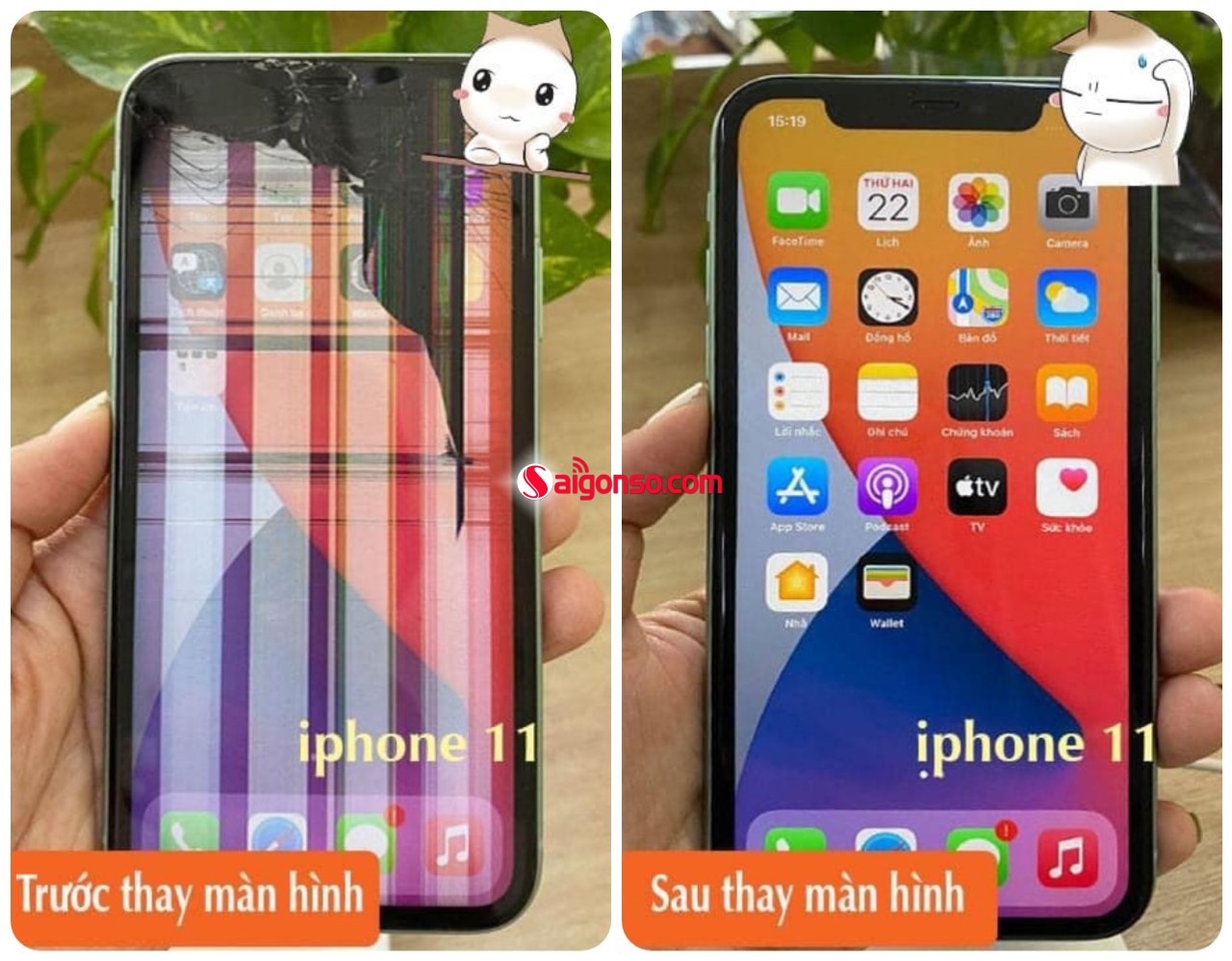 thay màn hình iPhone 11 Thegioididong